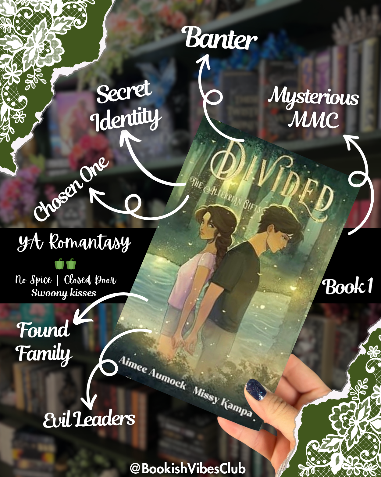 Divided by Aimee Aumock and Missy Kampa