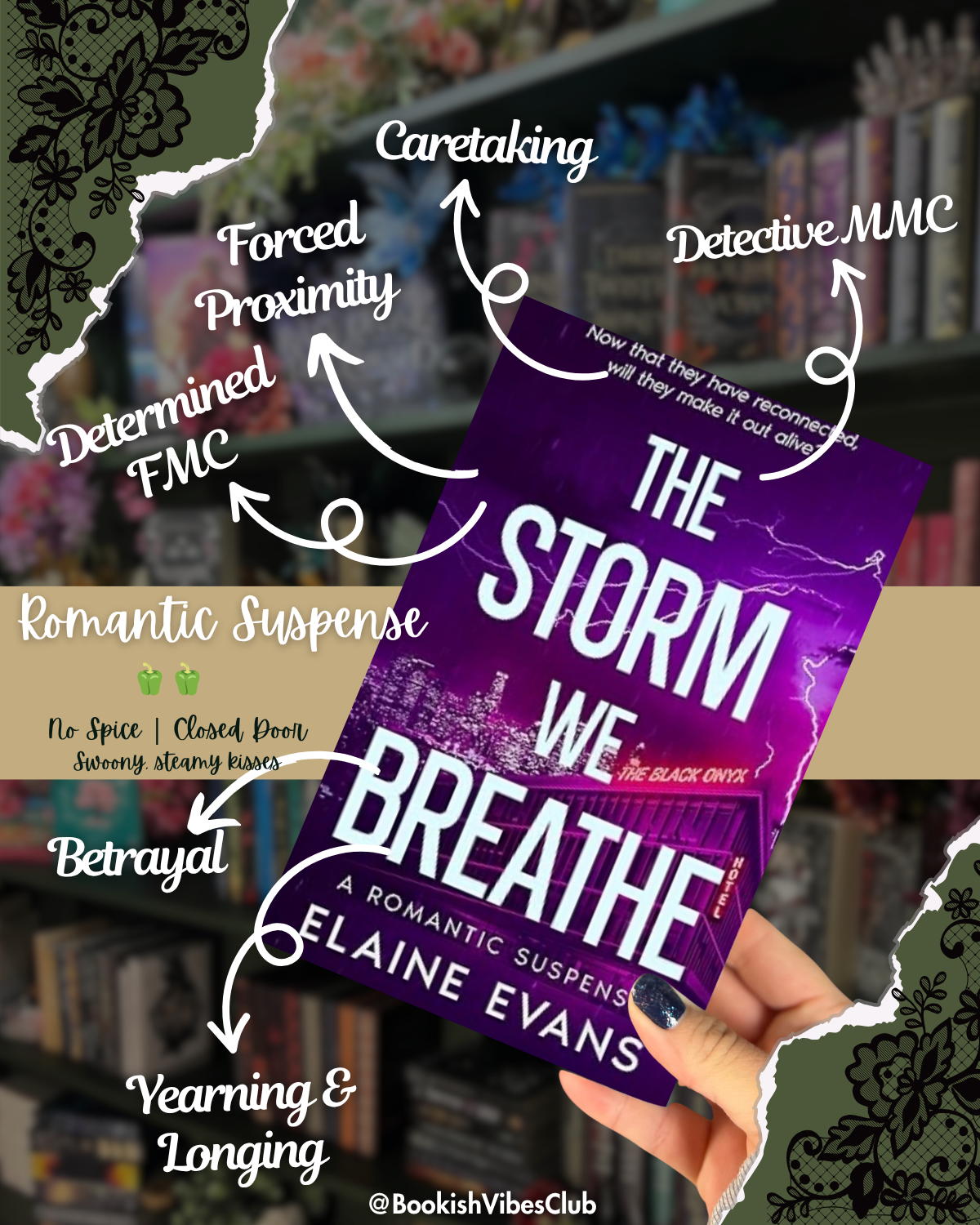 The Storm We Breathe by Elaine Evans